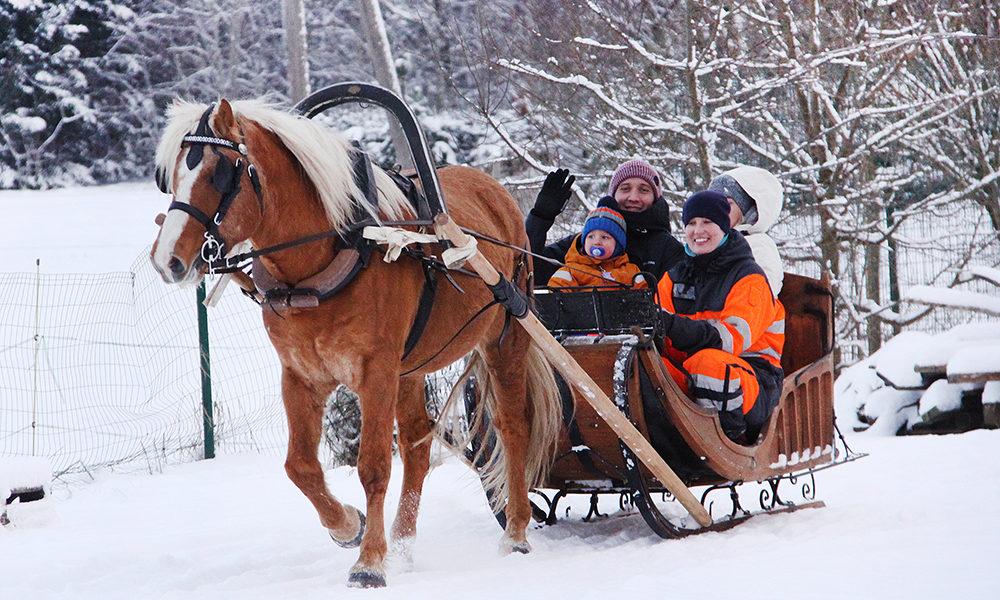 Tabanipäev ehk hobustepüha – 26. detsember
