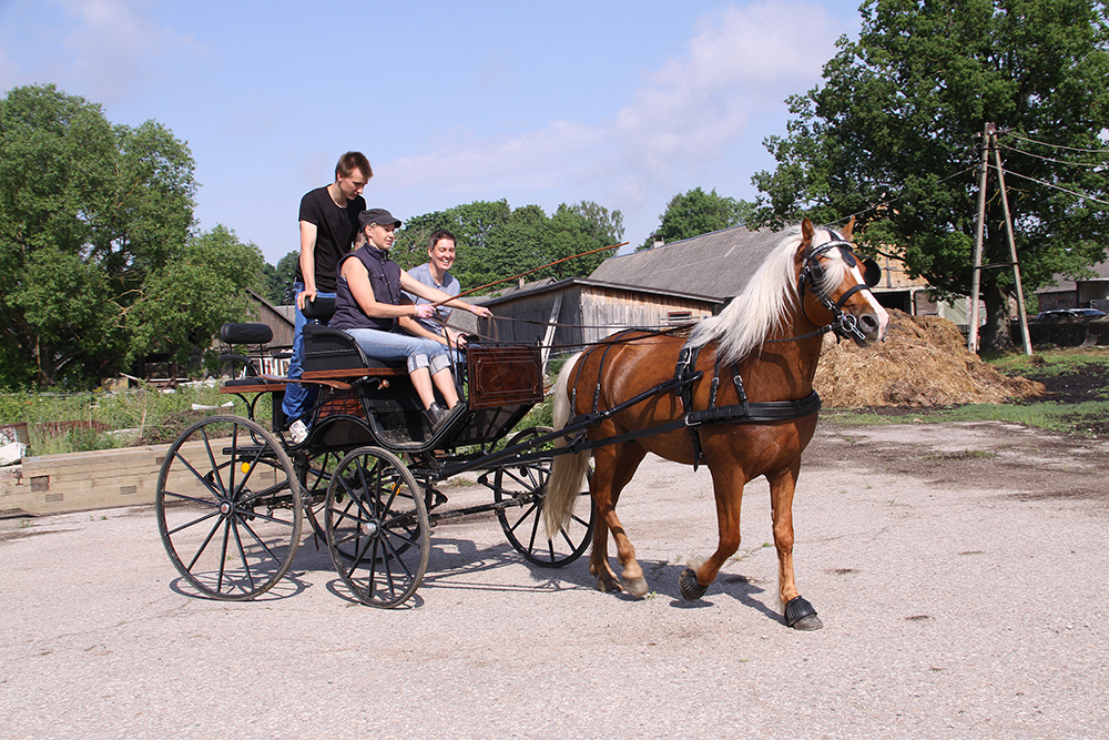 Hobuse turvalise transportimise ABC
