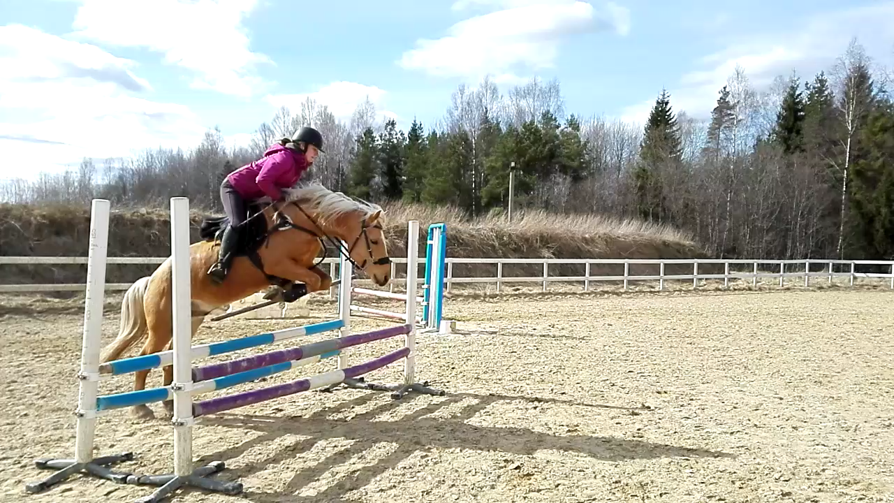 Tron ratsastamisel Kohila tallis