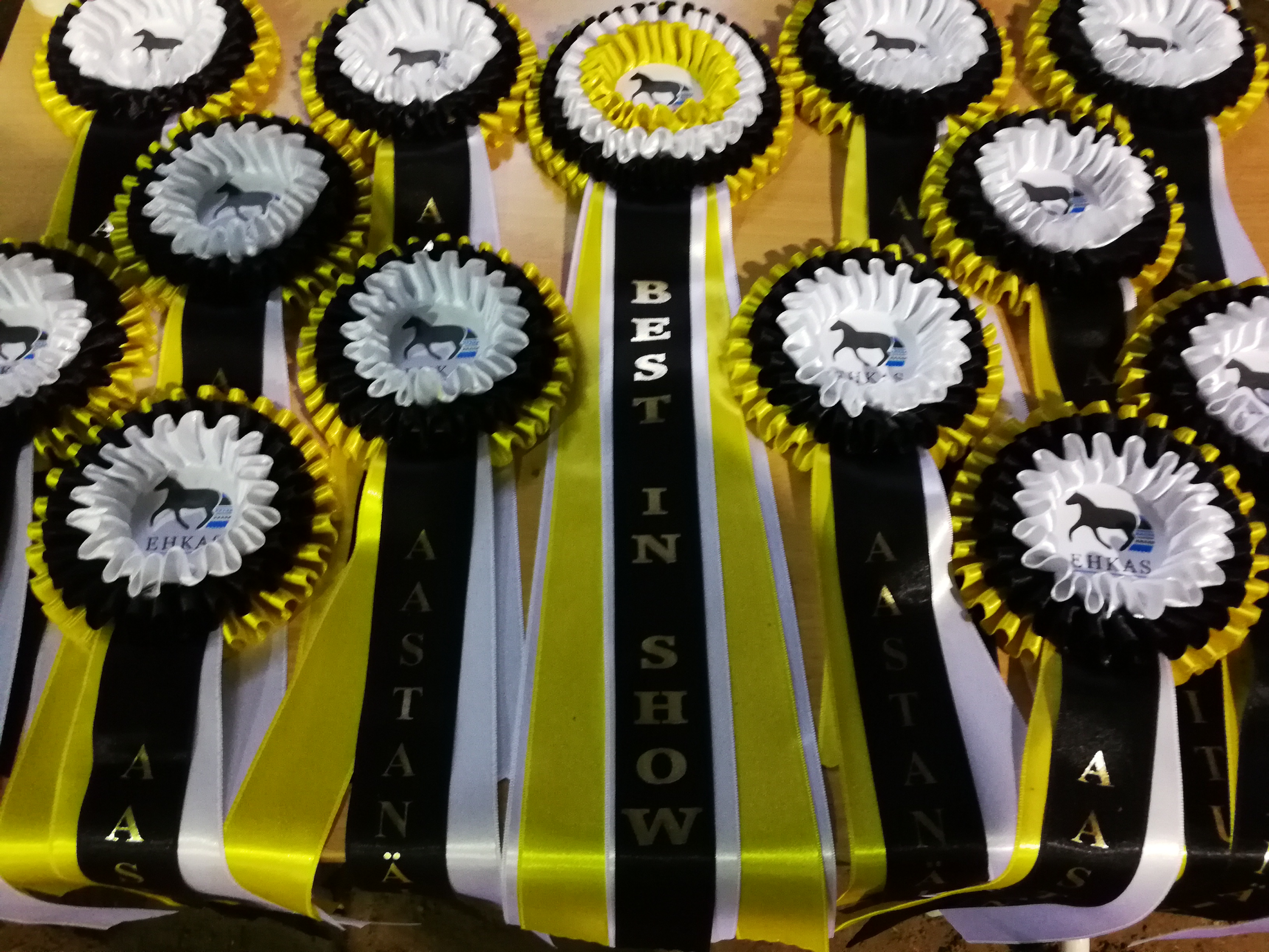 EESTI HOBUSTE AASTANÄITUS 2017