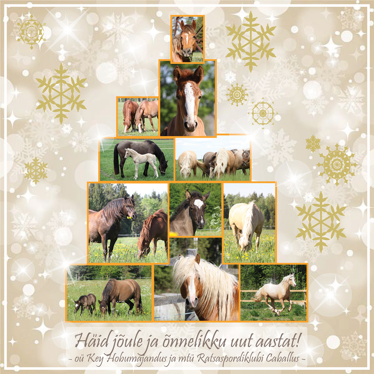 Key hobumajandus soovib Häid Jõule ja Õnnelikku Uut Aastat!