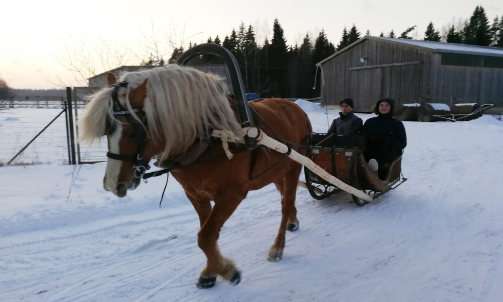 Aasta 2018 on saanisõidu aasta