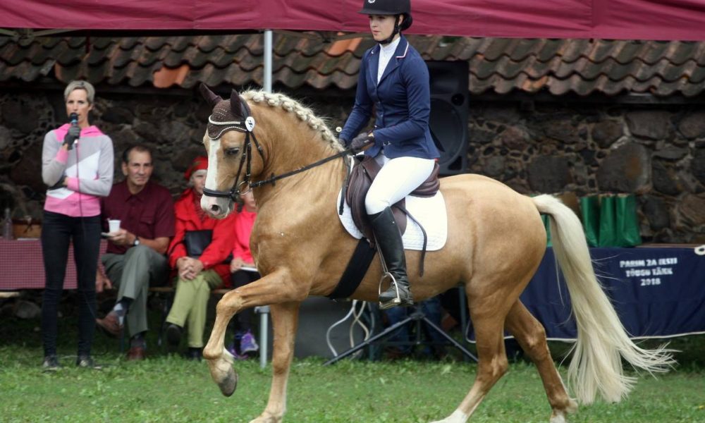TEN – eesti tõugu noorhobuste jõudluskatse- näitusepäev 2018