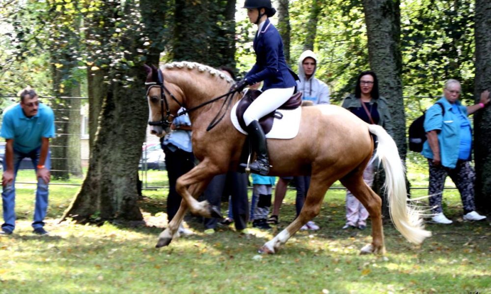 TEN – Tõuloom 2018