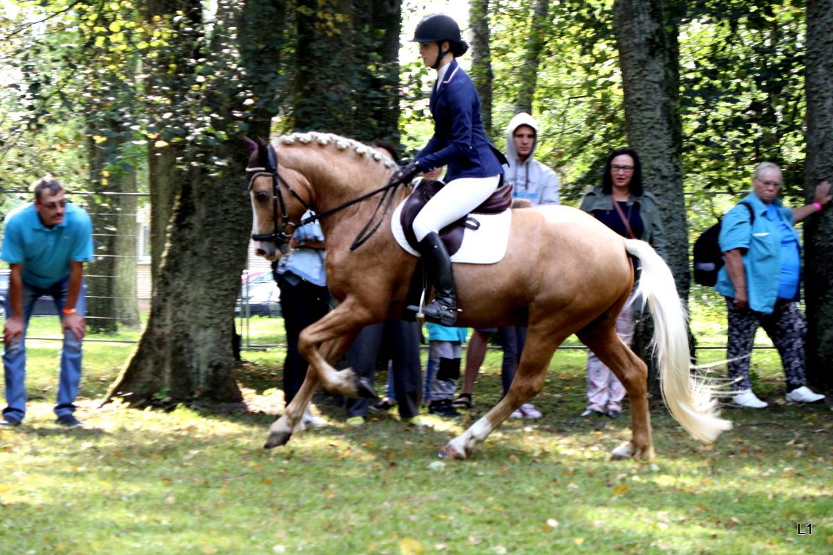 TEN – Tõuloom 2018