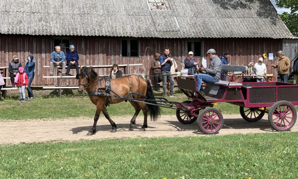 SÕIDU-JA VEOKATSED 2019