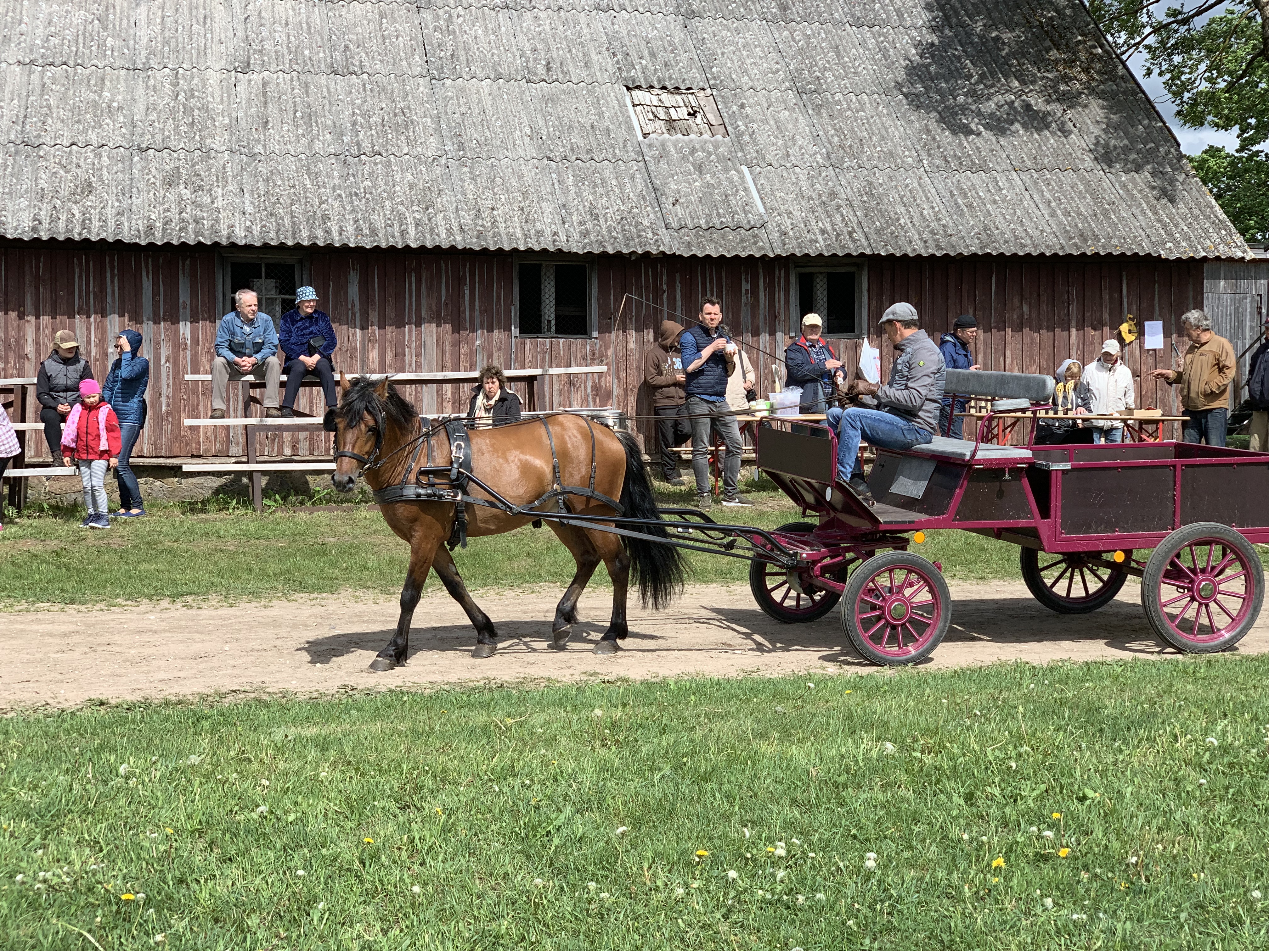 SÕIDU-JA VEOKATSED 2019